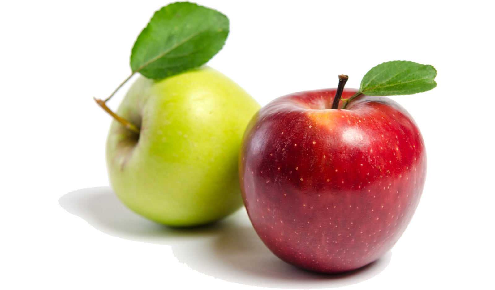 Two apples, one green and the other one red, on a white background.
