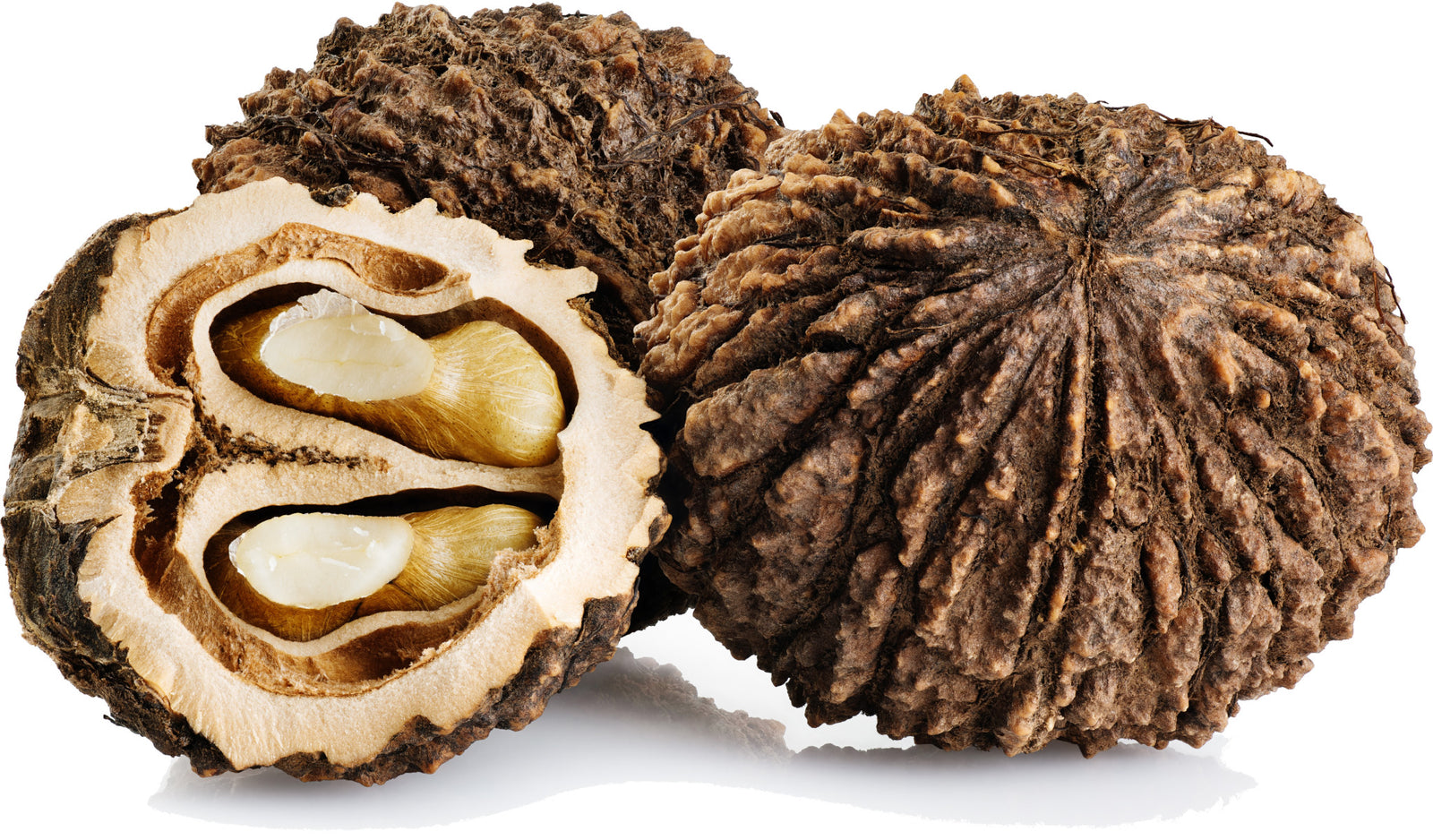 Three black walnuts.  One has the shell cleanly cut open.