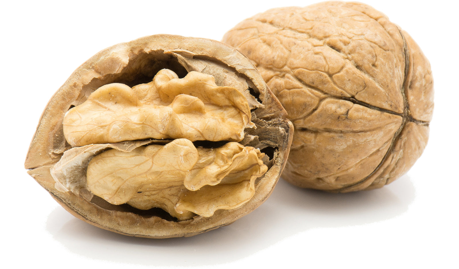 Two english walnuts.  One has the shell broken open.
