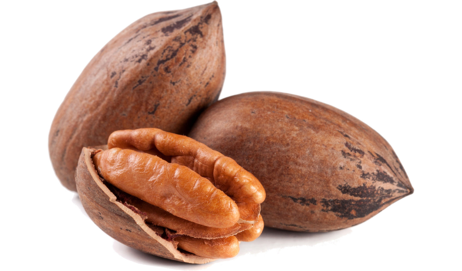 Three raw pecans.  One with the shell broken open.